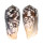 CONIDAE CONUS STRIATUS shell