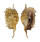 STROMBIDAE LAMBIS MILLEPEDA shell