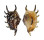 STROMBIDAE LAMBIS VERTRIESTI shell