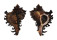 MURICIDAE CHICOREUS RAMOSUS shell