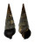 POTAMIDIDAE TEREBRALIA PALUSTRIS shell