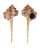 MURICIDAE HAUSTELLUM KURODAI shell