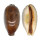 CYPRAEIDAE LYNCINA LYNX VANELLI shell