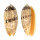 OLIVIDAE OLIVA SERICEA shell