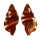 RANELLIDAE SEPTA RUBECULUM shell