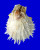 SPONDYLIDAE SPONDYLUS VARIANS shell