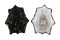 LOTTIIDAE PATELLOIDA SACCHARINA LANX shell