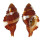 RANELLIDAE CYMATIUM BIBBEYI shell