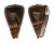CONIDAE CONUS LOROISII INSIGNIS shell