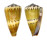CONIDAE CONUS MUSTELINUS shell