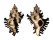 MURICIDAE CHICOREUS BRUNNEUS shell