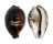CYPRAEIDAE CYPRAEA TIGRIS shell