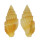MITRIDAE PUSIA CROCATUM CONCINNA shell
