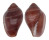 MARGINELLIDAE MARGINELLA ORNATA shell