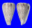 CONIDAE CONUS SURATENSIS shell