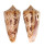 CONIDAE CONUS NEPTUNUS shell