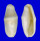 OVULIDAE CYPHOMA SIGNATUM shell
