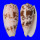 CONIDAE CONUS STRIATUS shell
