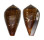 CONIDAE CONUS FRANCISCANUS shell