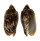 VOLUTIDAE CYMBIOLA VESPERTILIO shell