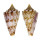 CONIDAE YEDDOCONUS GEERAERTSI shell