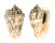 STROMBIDAE STROMBUS LENTIGINOSUS shell