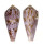 CONIDAE CONUS KINOSHITAI shell