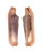 OVULIDAE PROSIMNIA PIRIEI shell