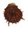 SPONDYLIDAE SPONDYLUS SWINNENI shell