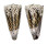 CONIDAE CONUS IMPERIALIS shell