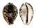 CYPRAEIDAE CYPRAEA TIGRIS shell