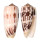 CONIDAE CONUS STRIATUS shell