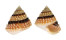 LITTORINIDAE TECTARUS CORONATUS shell