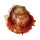 SPONDYLIDAE SPONDYLUS VAILLANTI shell