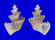 CANCELLARIIDAE TRIGONOSTOMA SCALARE shell