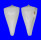 CONIDAE CONUS SUGIMOTONIS shell