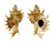 MURICIDAE CHICOREUS CNISSODUS shell