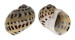 NATICIDAE NATICA ONCA shell