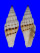 MITRIDAE VEXILLUM BALTEOLATUM shell