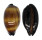 CYPRAEIDAE TALPARIA TALPA shell