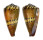 CONIDAE CONUS MUSTELINUS shell