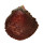 SPONDYLIDAE SPONDYLUS ANACANTHUS shell