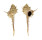 MURICIDAE MUREX ADUNCOSPINOSUS shell