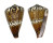 CONIDAE CONUS CAPITANEUS shell