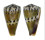 CONIDAE CONUS MUSTELINUS shell
