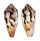 CONIDAE CONUS CIRCUMCISUS shell