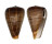 CONIDAE CONUS FIGULINUS shell