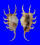 STROMBIDAE LAMBIS SCORPIO shell