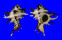 MURICIDAE CHICOREUS CICHOREUM shell