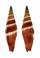 MITRIDAE VEXILLUM COCCINEA shell